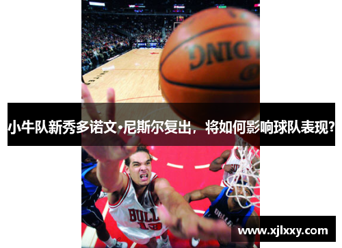 小牛队新秀多诺文·尼斯尔复出，将如何影响球队表现？