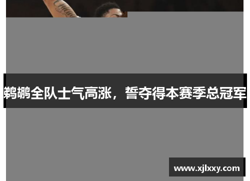 鹈鹕全队士气高涨，誓夺得本赛季总冠军